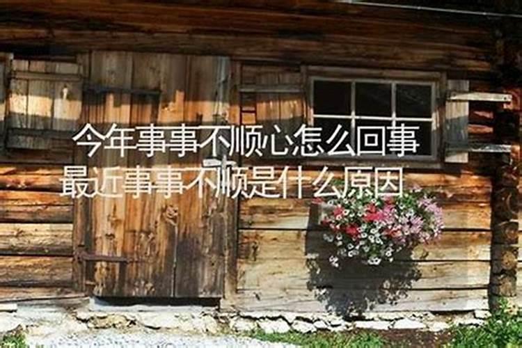 属鼠腊月几日出生的宝宝好
