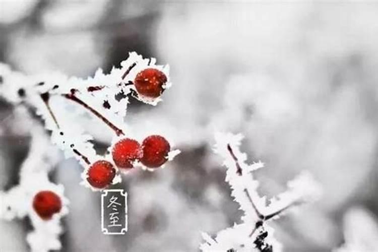 冬至前后注意什么