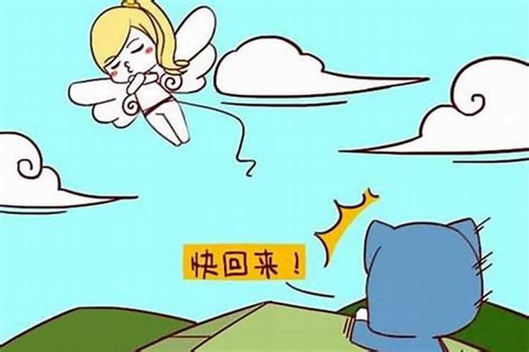 酉时出生的属蛇人命运如何(17:0019:00)