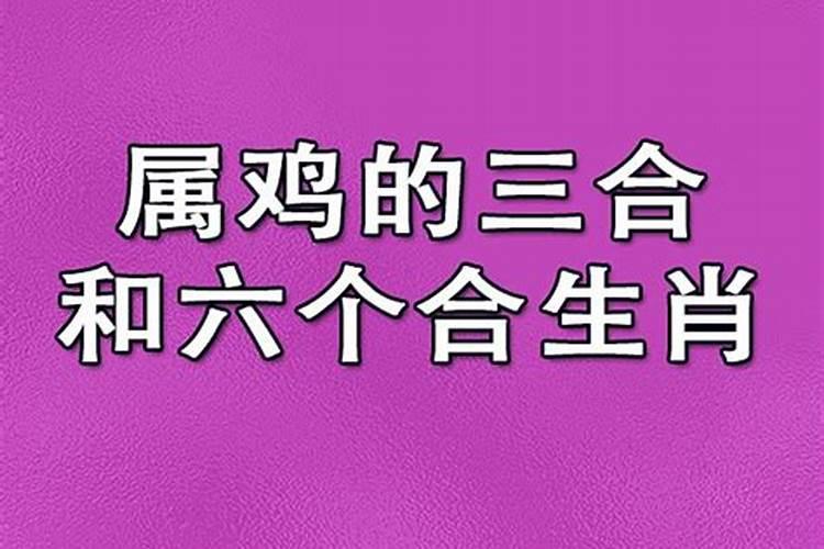 属鸡的三合和三冲