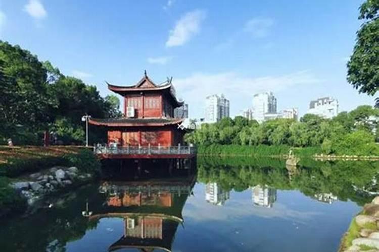 2025年犯太岁的生肖猪怎么化解 2025年犯太岁的生肖猪怎么躲星