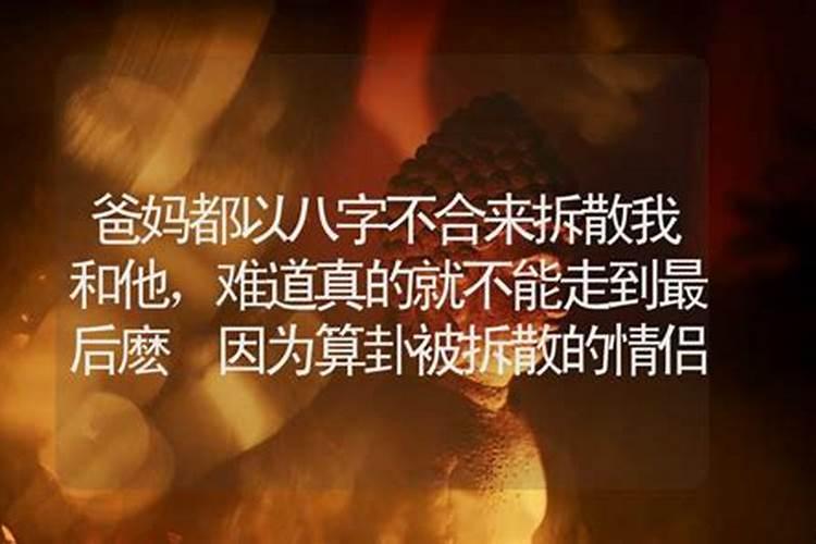 八字不合的夫妻会怎样 容易互相挑剔？