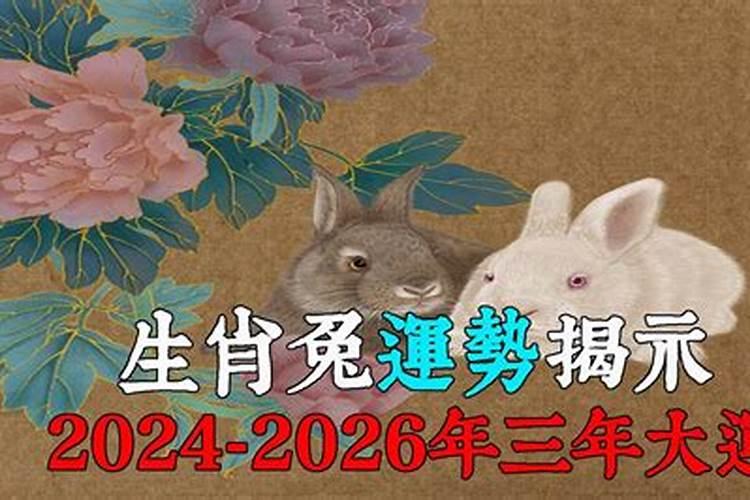 6月16日生肖运势马、猪、狗大吉