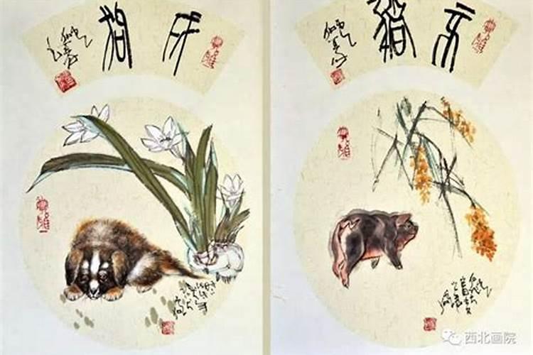 2025年5月28号十二生肖运势