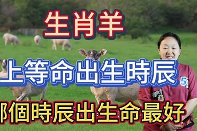 羊年出生的宝宝生辰八字什么最好  百度宝宝知道