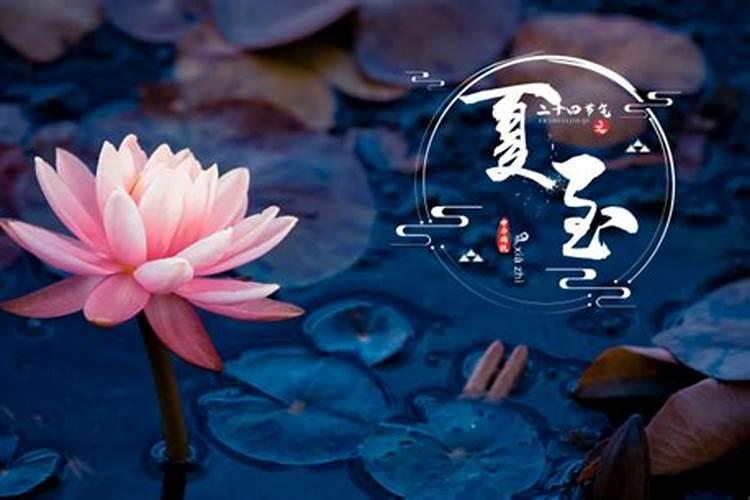 2023广州赏梅花的地方有哪些广州看梅花的地方