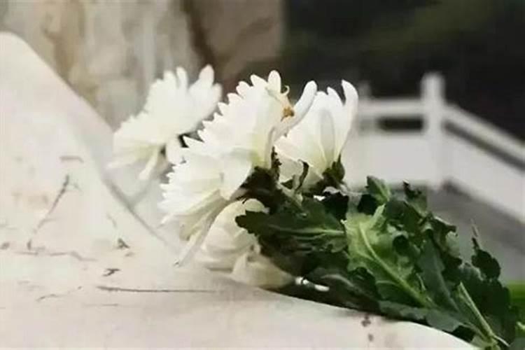 1993属鸡最佳婚配属相