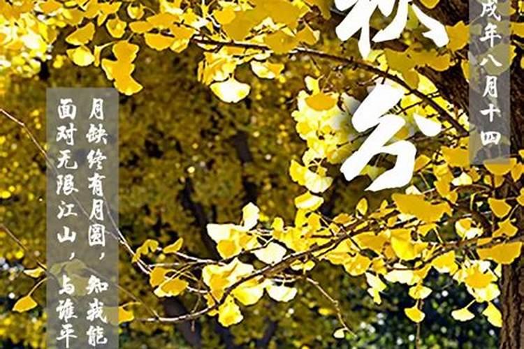 秋分养生注意什么 秋分节气养生全攻略