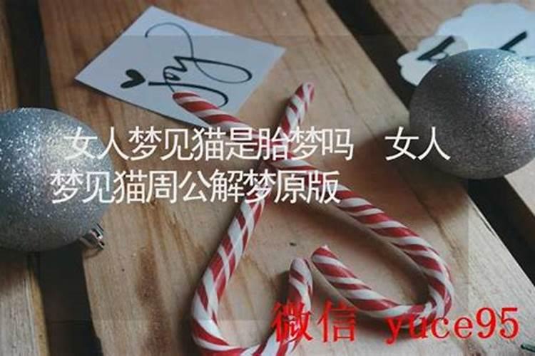 女人梦见猫是胎梦吗,备孕梦到猫是不是胎梦