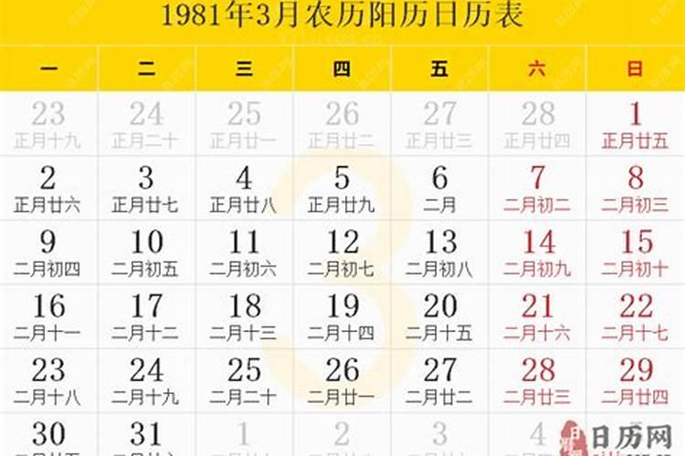1981年属鸡男2024年每月运程怎么样