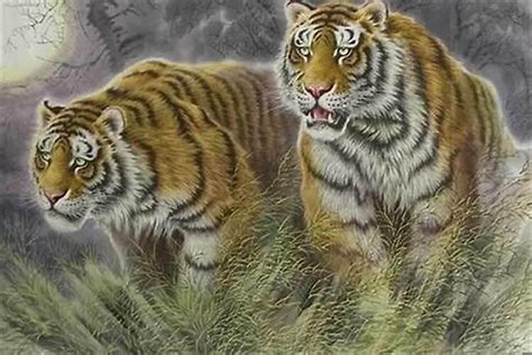 生肖猴1980年2025年运势如何 生肖猴1980年2025年全年运势