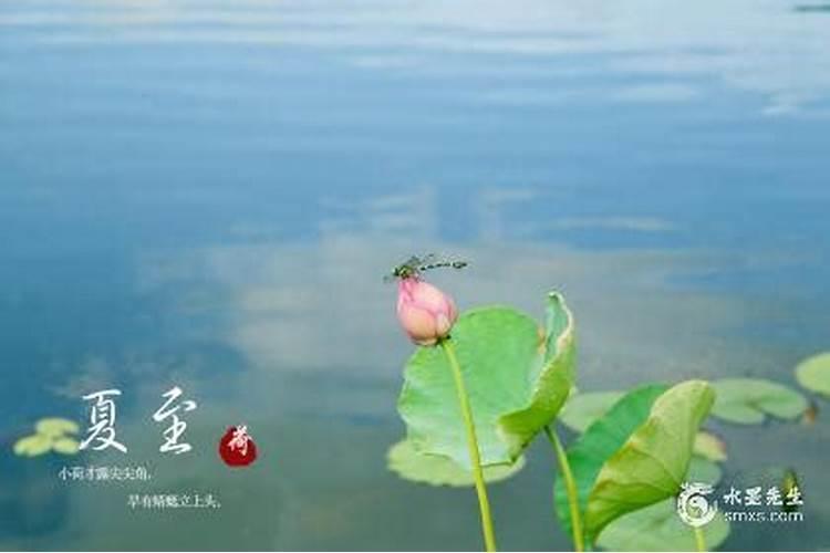 75的兔2025运势