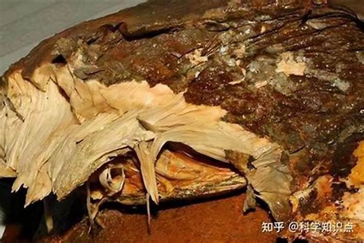 啥是太岁,太岁是干啥的