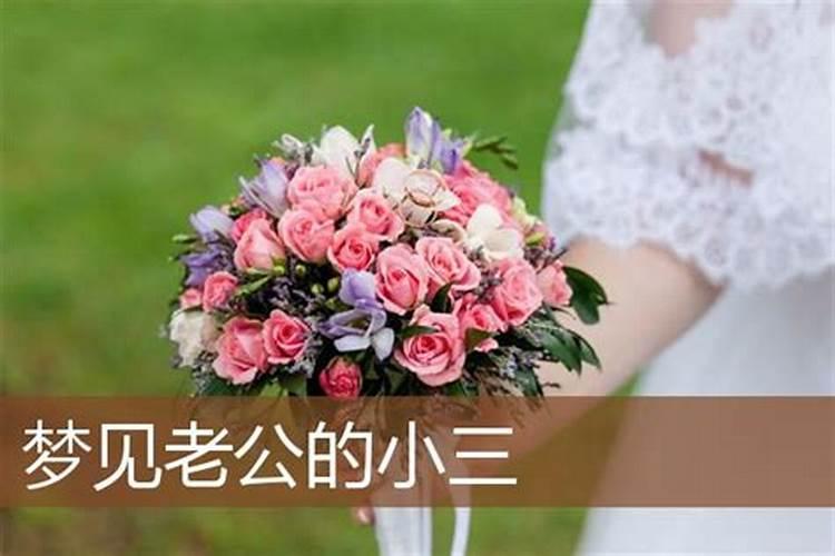 男属蛇的和女属狗相配吗
