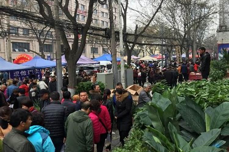 咸阳市二月二庙会在哪里