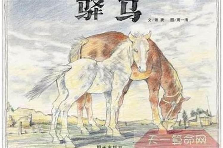 算命,墓绝胎养是什么意思,有八字排盘,有劳大师给看一下~