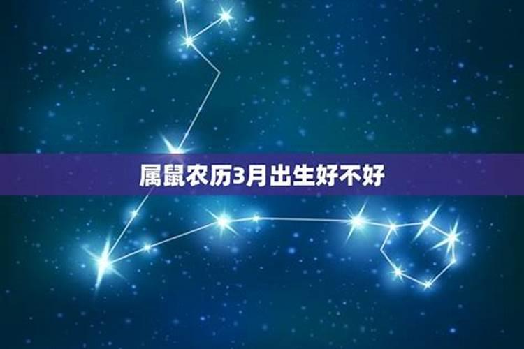 重阳节必吃的15种食物