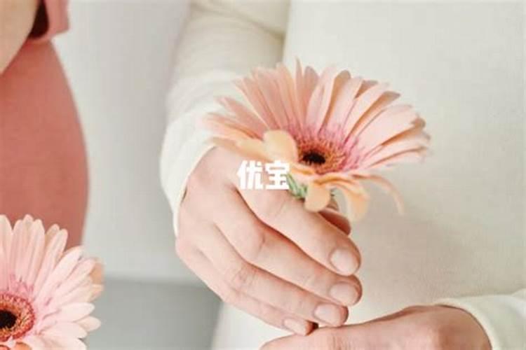 属鼠的重阳节出生命运怎么样？重阳节出生命理怎么样
