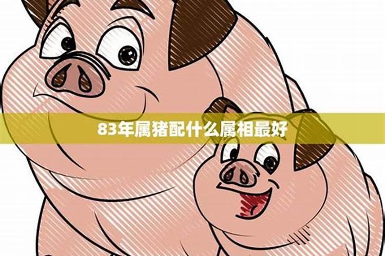 属猪最佳婚配前十名属相