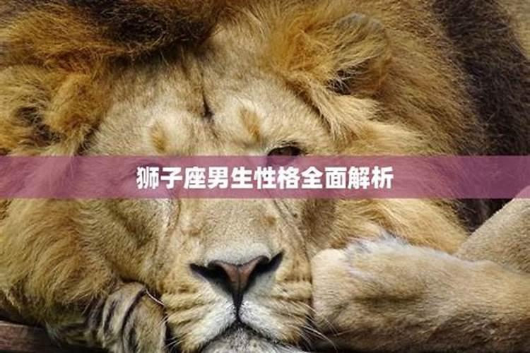狮子座男生性格特点以及弱点 狮子座男生性格特点及爱情