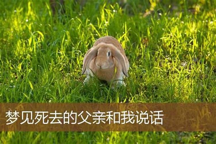 什么夫妻八字相冲越冲越好 什么样的八字夫妻关系好？