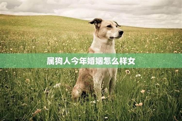 四柱八字排盘详解 八字算命实例？