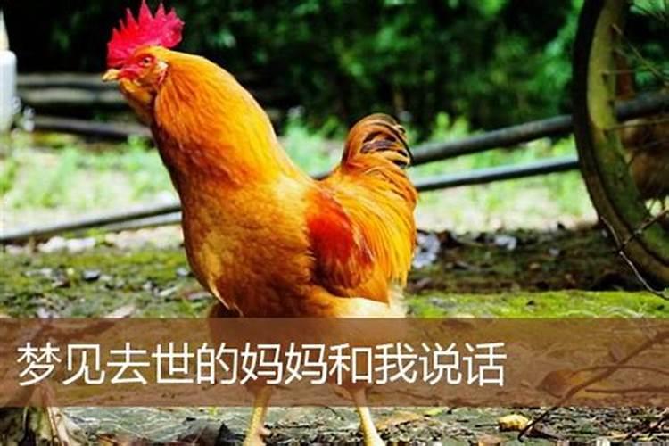 属狗1994年2025年运势及运程