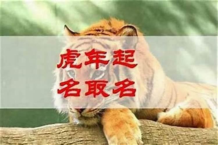 女孩聪明才华横溢的名字虎年 属虎女孩聪明才华横溢的名字有寓意