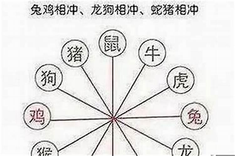生肖蛇2025年运势及运程如何