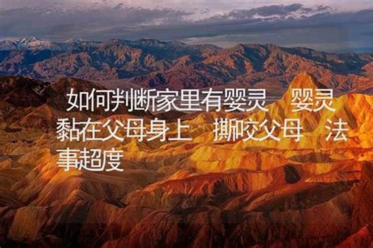 1994年属狗的最佳配偶属相