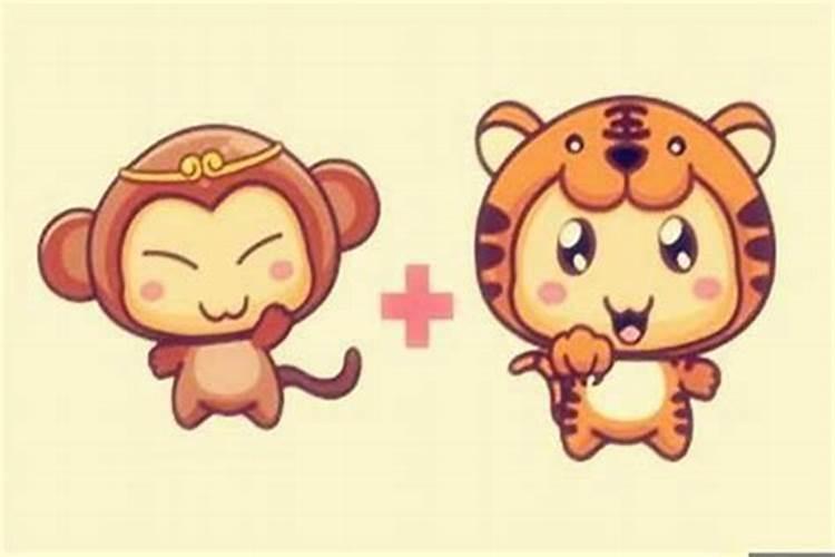 猴子和老虎属相合不合