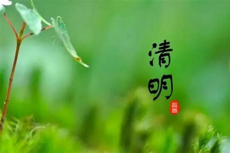 清明日子里过路费从何时开始收取