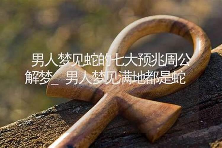 梦见蛇是什么意思周公解梦 在梦见蛇是周公解梦里面什么意思