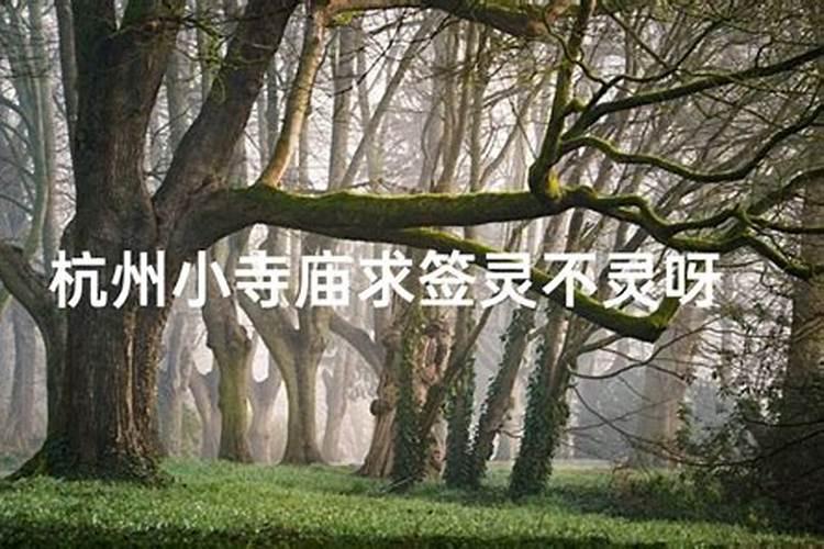 改变男人财气运势的家居风水