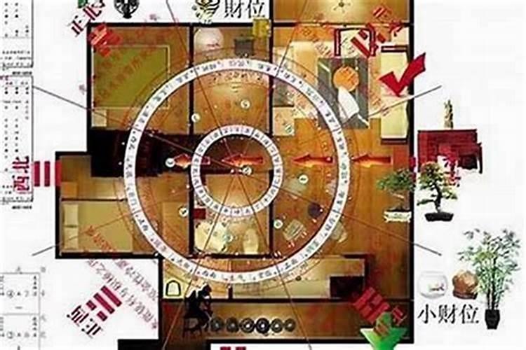 属羊人下半年运势如何
