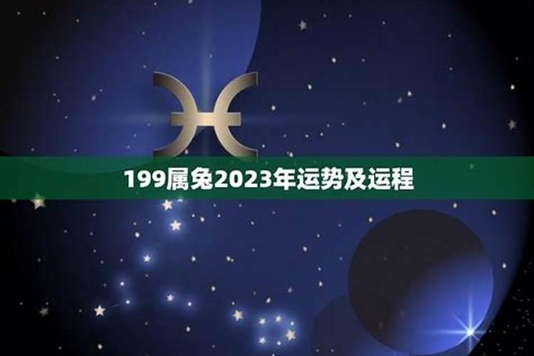 属鼠是199鸡年出生的,十二生肖鼠的命运