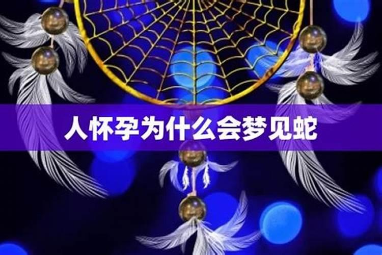 属猪的明年犯太岁吗2025