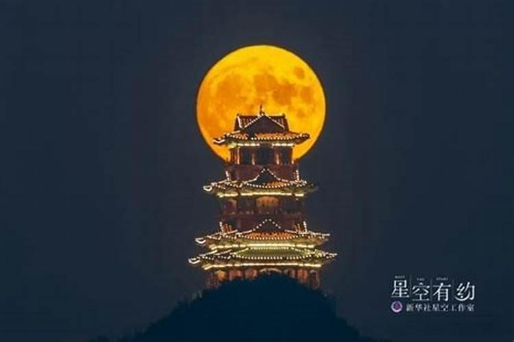 1994属狗在2024以后十年大运