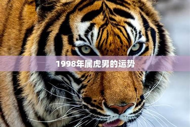 98年属虎男孩一生运势