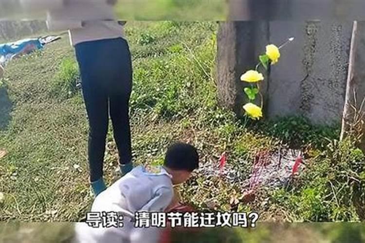 本命年戴红绳还是红玛瑙还是红朱砂