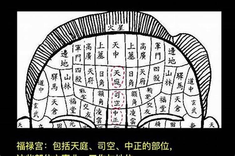 正定大佛寺能不能开光？