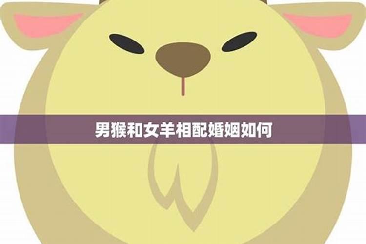 79男羊和91羊女八字合吗,91年属羊女的最佳婚配？