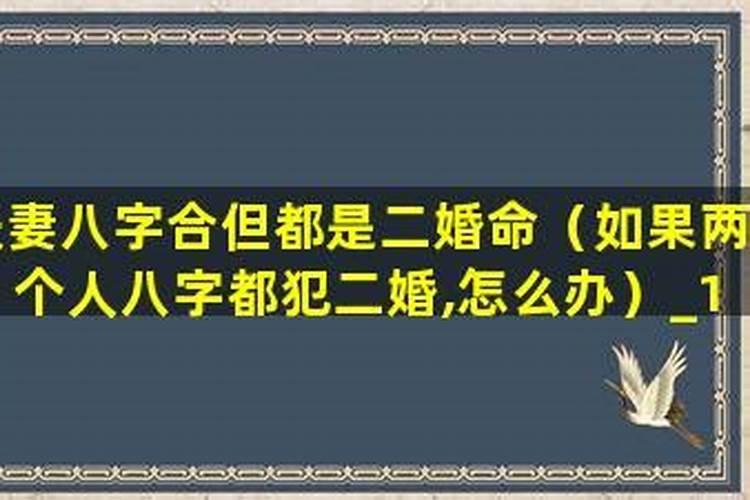 八月十五寓意什么