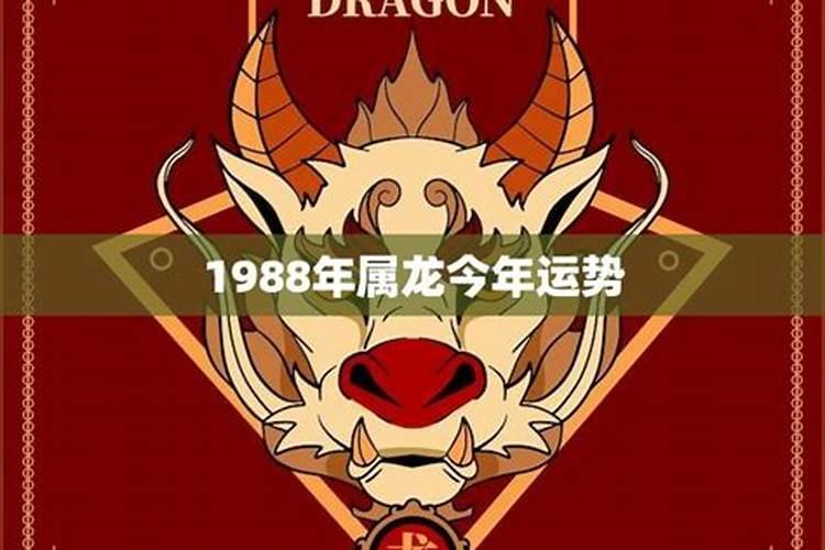 属蛇人在牛年的运势怎么样,属蛇人2022 年全年运势