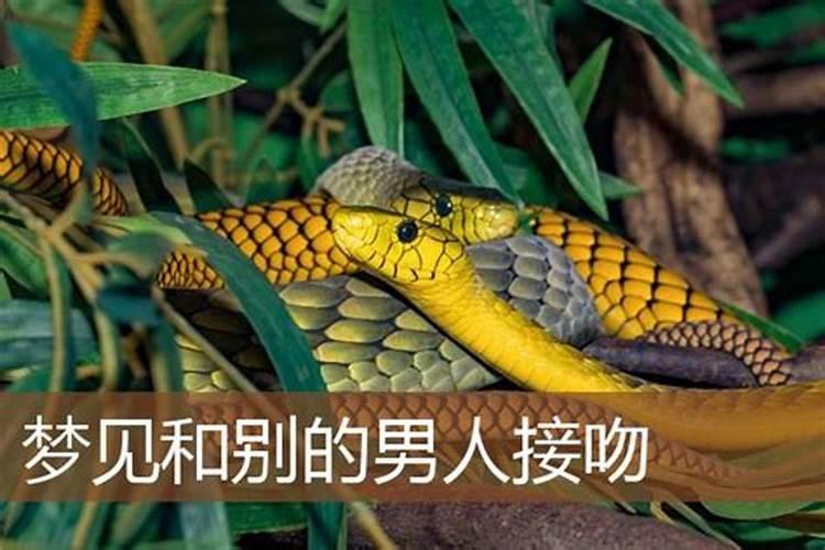 猪和虎在一起对谁不利男猪95年女虎98年姻缘如何