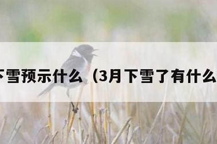 2002年农历11月19日出世是什么星座