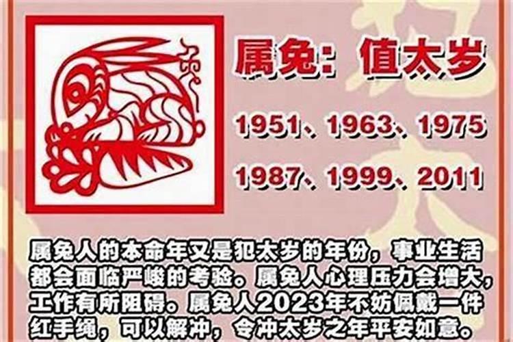 2025伞犯太岁的生肖