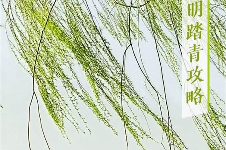 清明节去哪里踏青