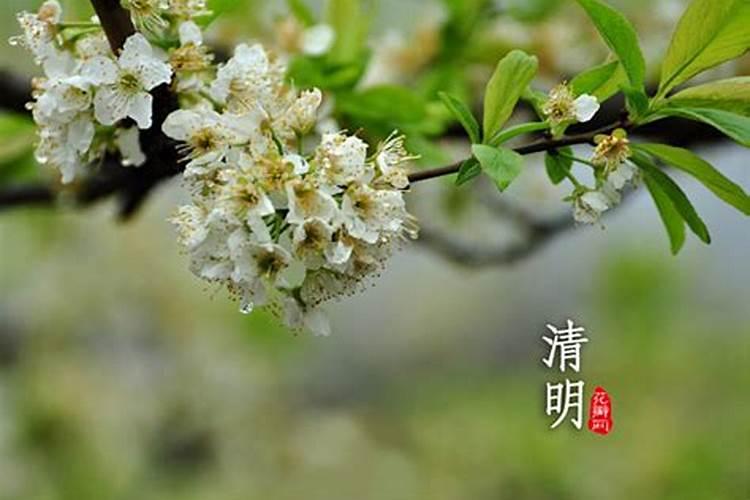 做法事化解真的有用吗