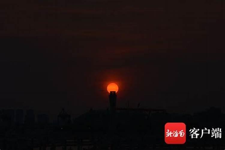88年2025属龙的运势